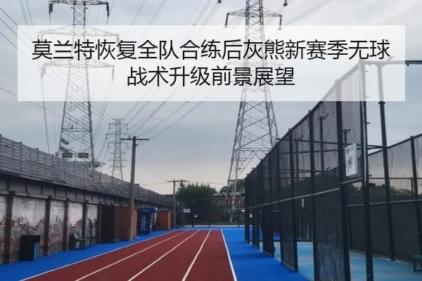 莫兰特恢复全队合练后灰熊新赛季无球战术升级前景展望